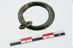 Foto von Bronzering (NHMW-PRAE-024215)
